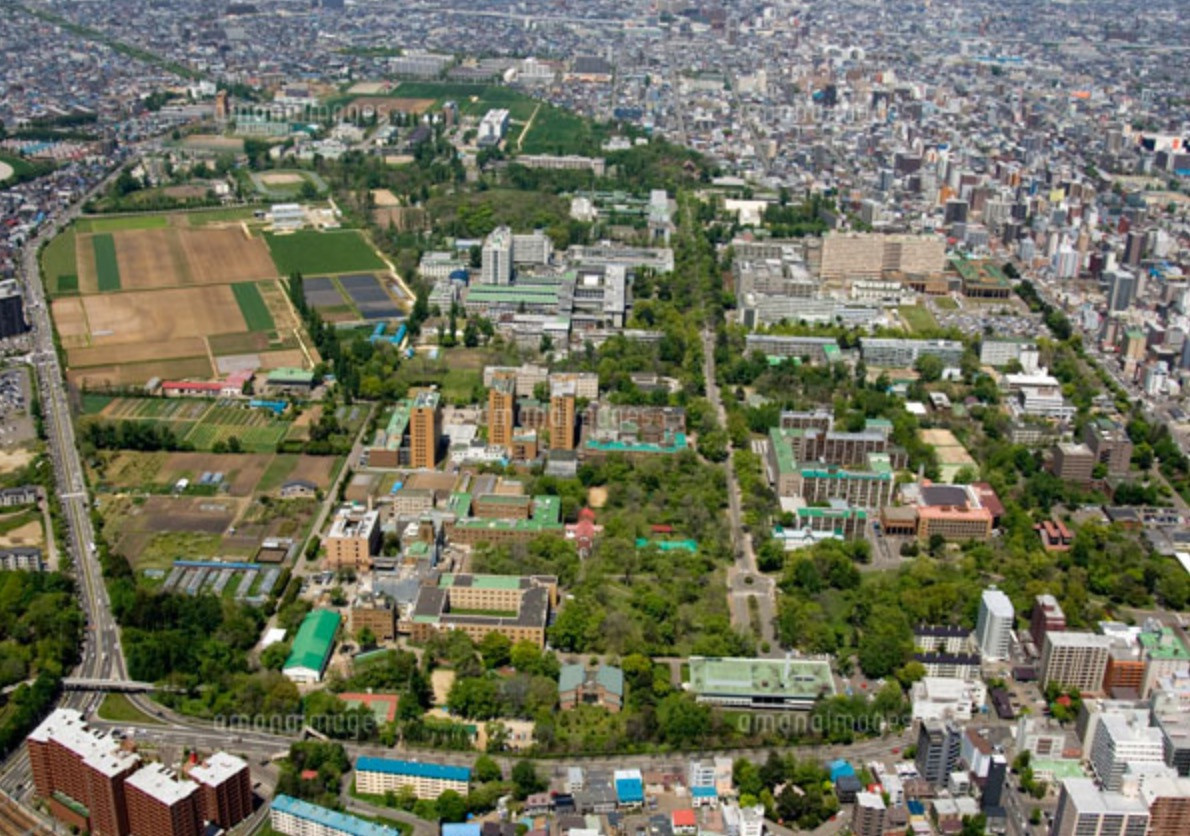 大学